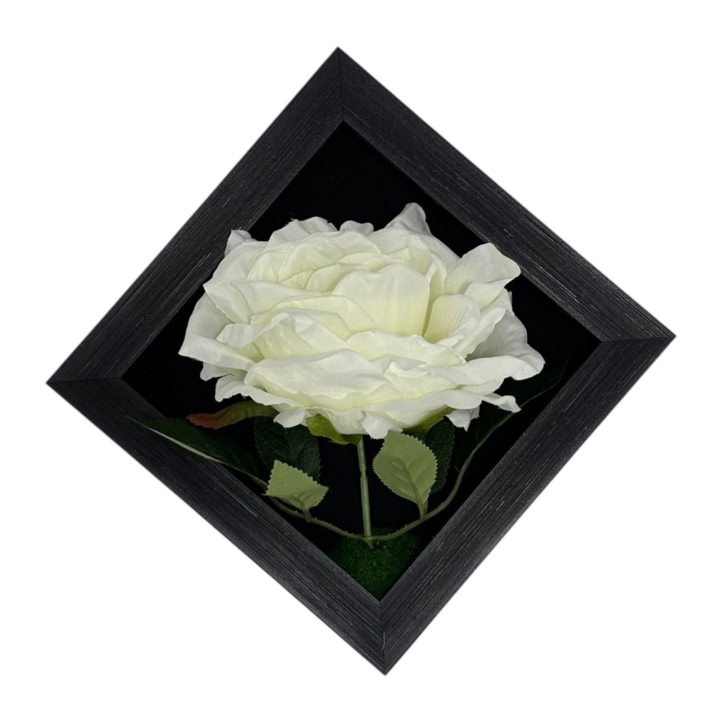 Classy Homes Artificial Plants With Frame, 20x20cm