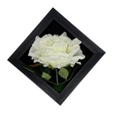 Classy Homes Artificial Plants With Frame, 20x20cm