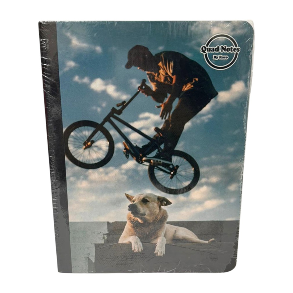 Quad Notes Notebook Boys Design 100 Sheets - 6Pk