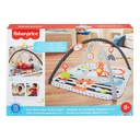 Fisher-Price 3-in-1 Music, Glow and Grow Gym Playmat mo
