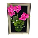 ****Classy Homes Artificial Plants With Frame, 20x30cm