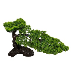 [HHGD-PLNT-01078 (CHMY5147) CHAP31873] Classy Homes Artificial Plant 40cm
